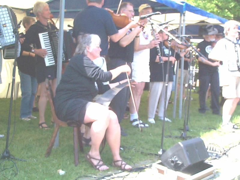 alder-2003-7 copy.JPG